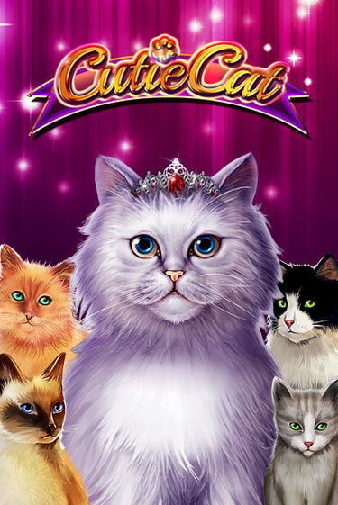 Играть в Cutie Cat от Gamomat | Казино Сhampion Slots 