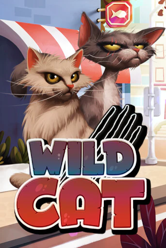 Играть в Wild Cat от Spinmatic | Казино Сhampion Slots 